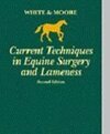 Current Techniques in Equine Surgery and Lameness, 2e