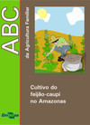 Cultivo do feijão-caupi no Amazonas