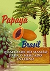Papaya Brasil : qualidade do mamão para o mercado interno.