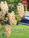 Orquídeas dendrobium
