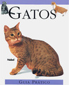 Livro - Gatos - Guia Pratico