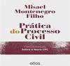 Prática do Processo Civil