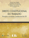 Direito constitucional do trabalho: Princípios e jurisdição constitucional do TST