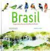BRASIL: IMAGENS SOB A OTICA DA ARTISTA...OLIVEIRA