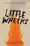 Little Wrecks