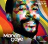 Marvin Gaye (Coleção Folha Soul & Blues #2)