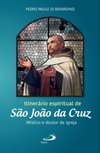 Itinerário espiritual de São João da Cruz: místico e doutor da igreja