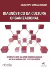 Diagnóstico da Cultura Organizacional: o Impacto dos Valores Organizacionais no Desempenho das Terceirizações