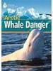 Arctic Whale Danger