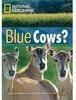 Blue Cows