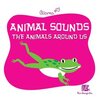 Animal sounds - The animals around us