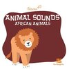 Animal sounds - African animals