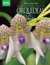 Flores o ano todo: orquídeas do verão