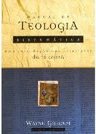 Manual de Teologia Sistemática: uma Introdução aos Princípios da Fé...