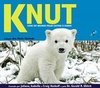 Knut : Como um Ursinho Polar Cativou o Mundo