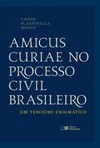 Amicus curiae no processo civil brasileiro: um terceiro enigmático