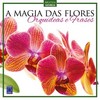 A magia das flores: orquídeas e frases