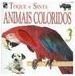 Animais Coloridos: Toque e Sinta
